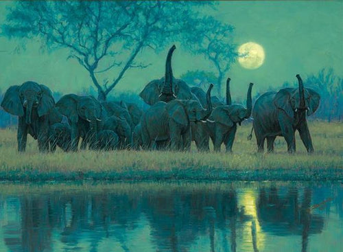 John Banovich - Testing the Night Wind