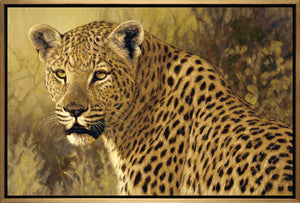 John Banovich - The Big Five Collection- Leopard