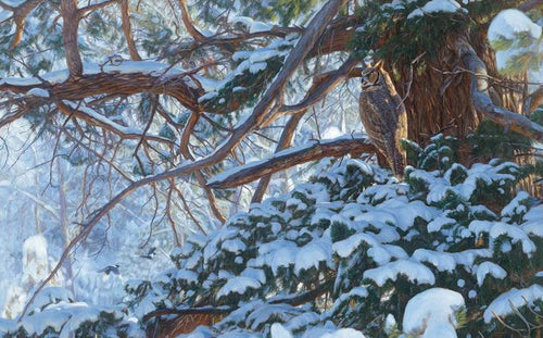 John Banovich - Waiting for Nightfall II