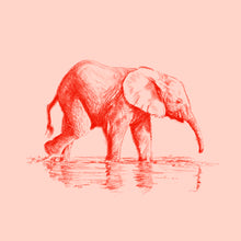 John Banovich - WILD CHILD-Elephant (Paper Zawadi Edition)