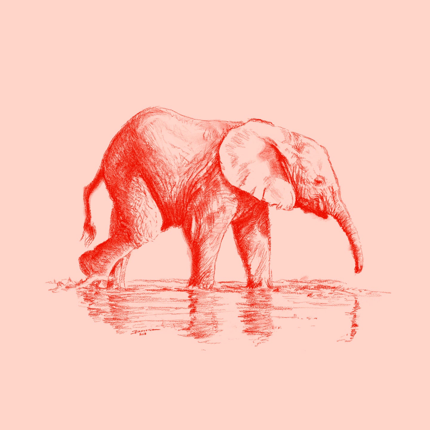 John Banovich - WILD CHILD-Elephant (Canvas Zawadi Edition
