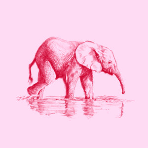 John Banovich - WILD CHILD-Elephant (Paper Zawadi Edition)