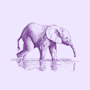 John Banovich - WILD CHILD-Elephant (Paper Zawadi Edition)