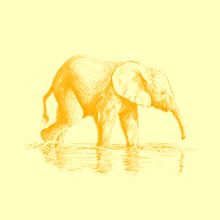 John Banovich - WILD CHILD-Elephant (Paper Zawadi Edition)