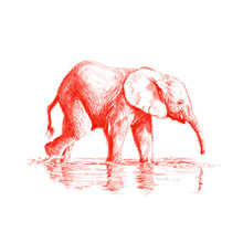 John Banovich - WILD CHILD-Elephant (Canvas Zawadi Edition)