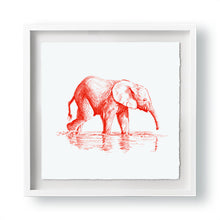 John Banovich - WILD CHILD-Elephant (Paper Zawadi Edition)