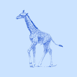 John Banovich - WILD CHILD-Giraffe (Paper Zawadi Edition) JB204