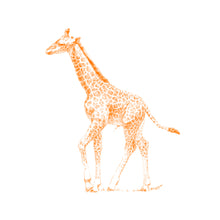 John Banovich - WILD CHILD-Giraffe (Canvas Gallery Edition)