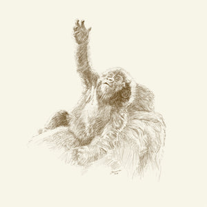 John Banovich - WILD CHILD-Gorilla (Paper Gallery Edition)