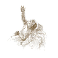 John Banovich - WILD CHILD-Gorilla (Canvas Gallery Edition)