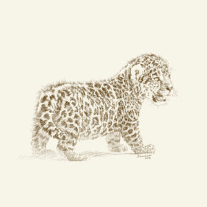 John Banovich - WILD CHILD-Jaguar (Canvas Gallery Edition)