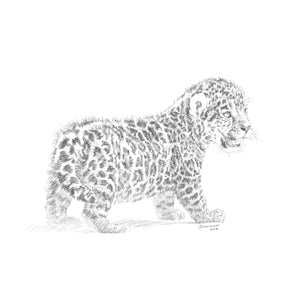 John Banovich - WILD CHILD-Jaguar (Canvas Zawadi Edition)