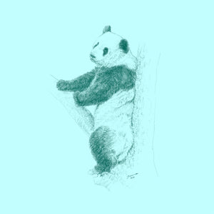 John Banovich - WILD CHILD-Panda (Paper Zawadi Edition)