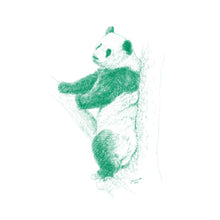 John Banovich - WILD CHILD-Panda (Canvas Gallery Edition)