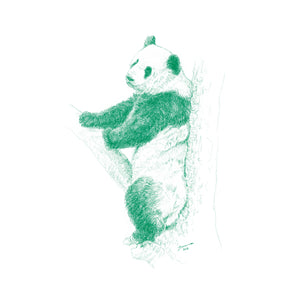 John Banovich - WILD CHILD-Panda (Paper Gallery Edition)