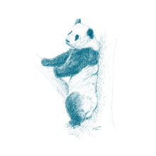 John Banovich - WILD CHILD-Panda (Paper Gallery Edition)