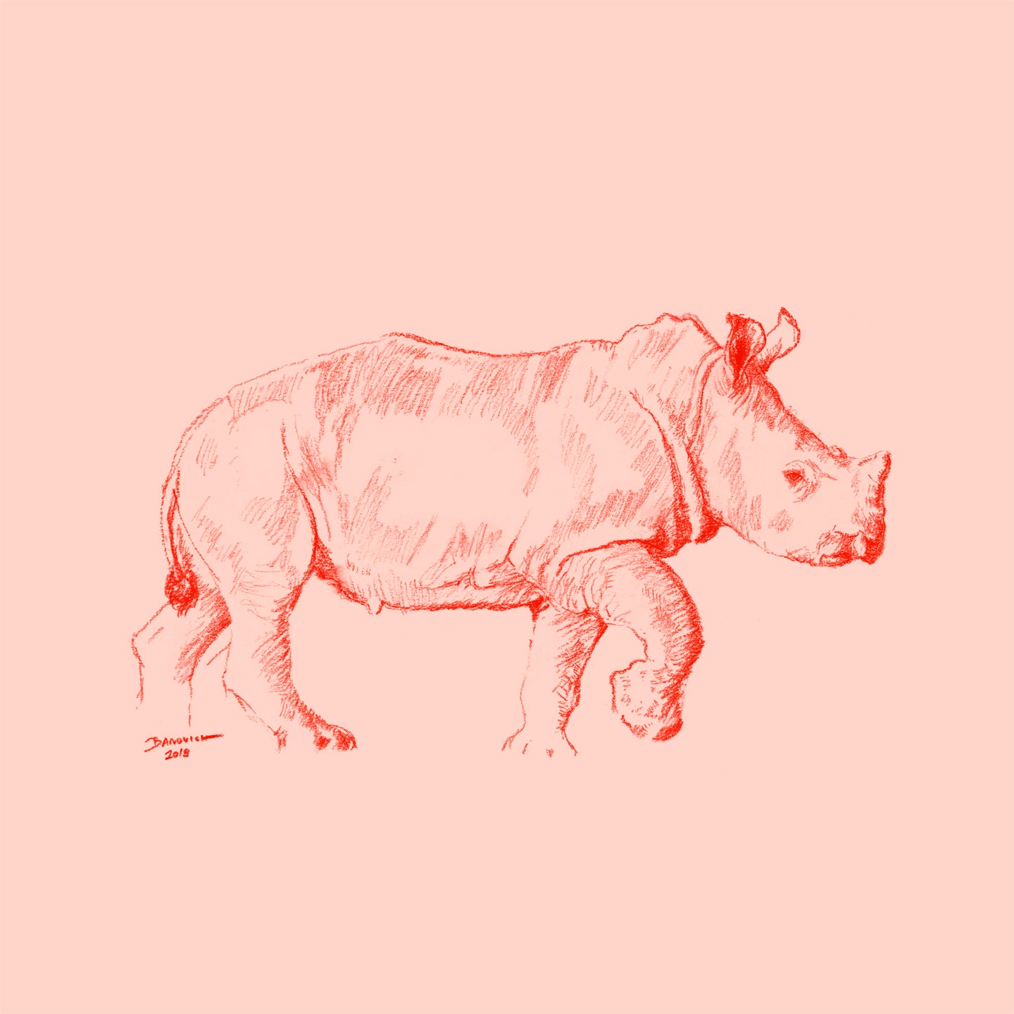 John Banovich - WILD CHILD-Rhino (Paper Zawadi Edition)