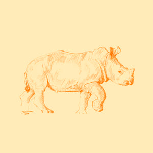 John Banovich - WILD CHILD-Rhino (Paper Gallery Edition)