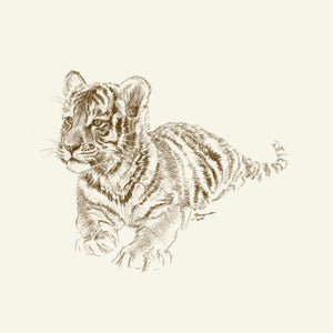 John Banovich - WILD CHILD-Tiger (Paper Zawadi Edition)