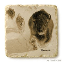 Banovich Wild Accents-Yellowstone Collection-Coasters