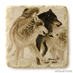 Banovich Wild Accents-Yellowstone Collection-Coasters