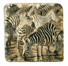 Banovich Wild Accents-Zebra Coasters