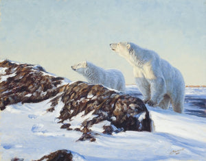 White Bear - Banovich Art Notecards