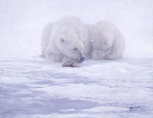 John Banovich - Shelter from the Storm