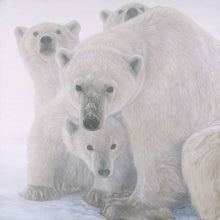 White Bear - Banovich Art Notecards