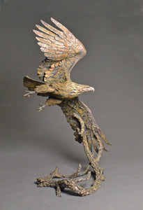 Stefan Savides - Top Gun (Eagle) - Limited Edition Sculpture