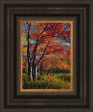 John Banovich - Whitetail Autumn