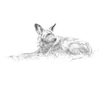 John Banovich - Wild Dog Sketch