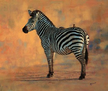 John Banovich - Zebra with Oxpecker