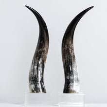 ANK-Kabaka horns