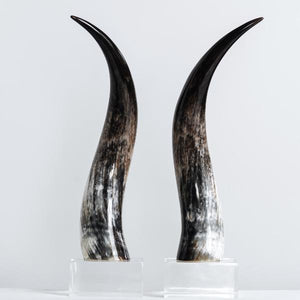 ANK-Kabaka horns