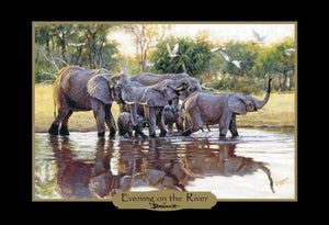 Elephants of Africa - Banovich Art Notecards
